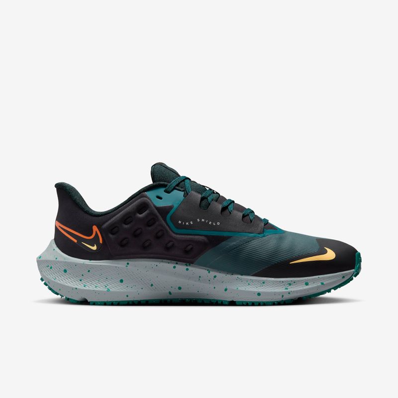 Nike Pegasus 39 Shield